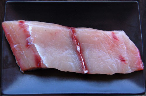 mahi mahi or dolphin fish© by Haalo