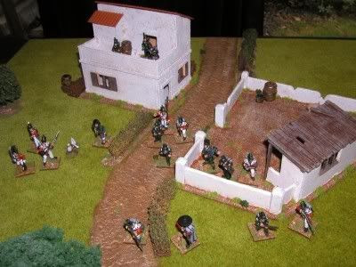 Napoleonic Skirmish Napoleonic Skirmish