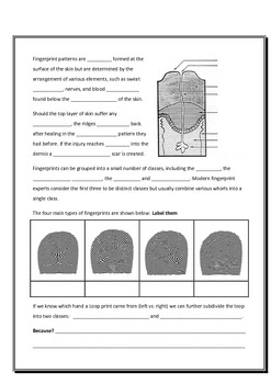 30 Forensic Science Blood Spatter Worksheet - Notutahituq Worksheet