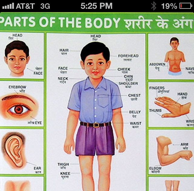 Woman Body Parts Name In Hindi : Body parts name in Hindi part -3 learn