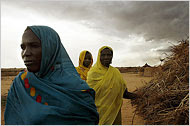 Darfur's Agony