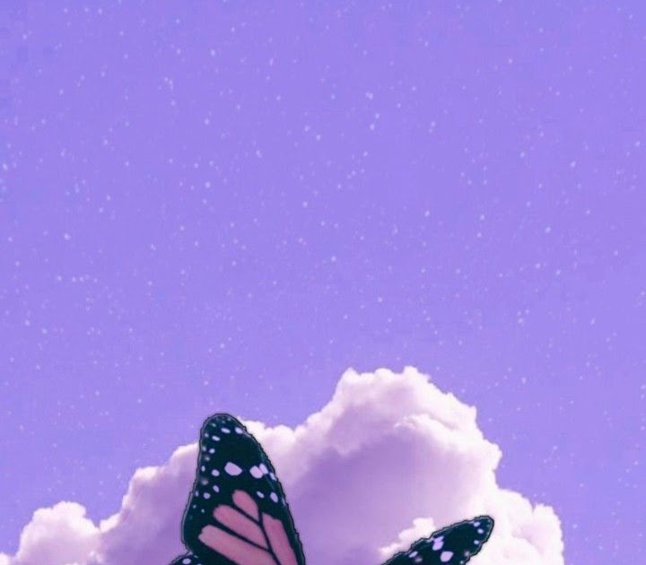 The Best 20 Cute Butterfly Wallpaper Aesthetic Purple - Goimages Online