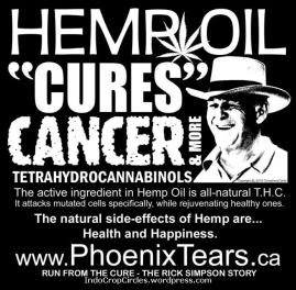 cannabis legal 01