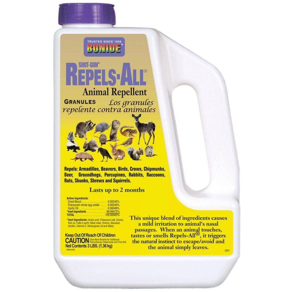 Home Depot Pest Control | Pest Control