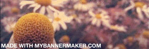 Create your own banner at mybannermaker.com!