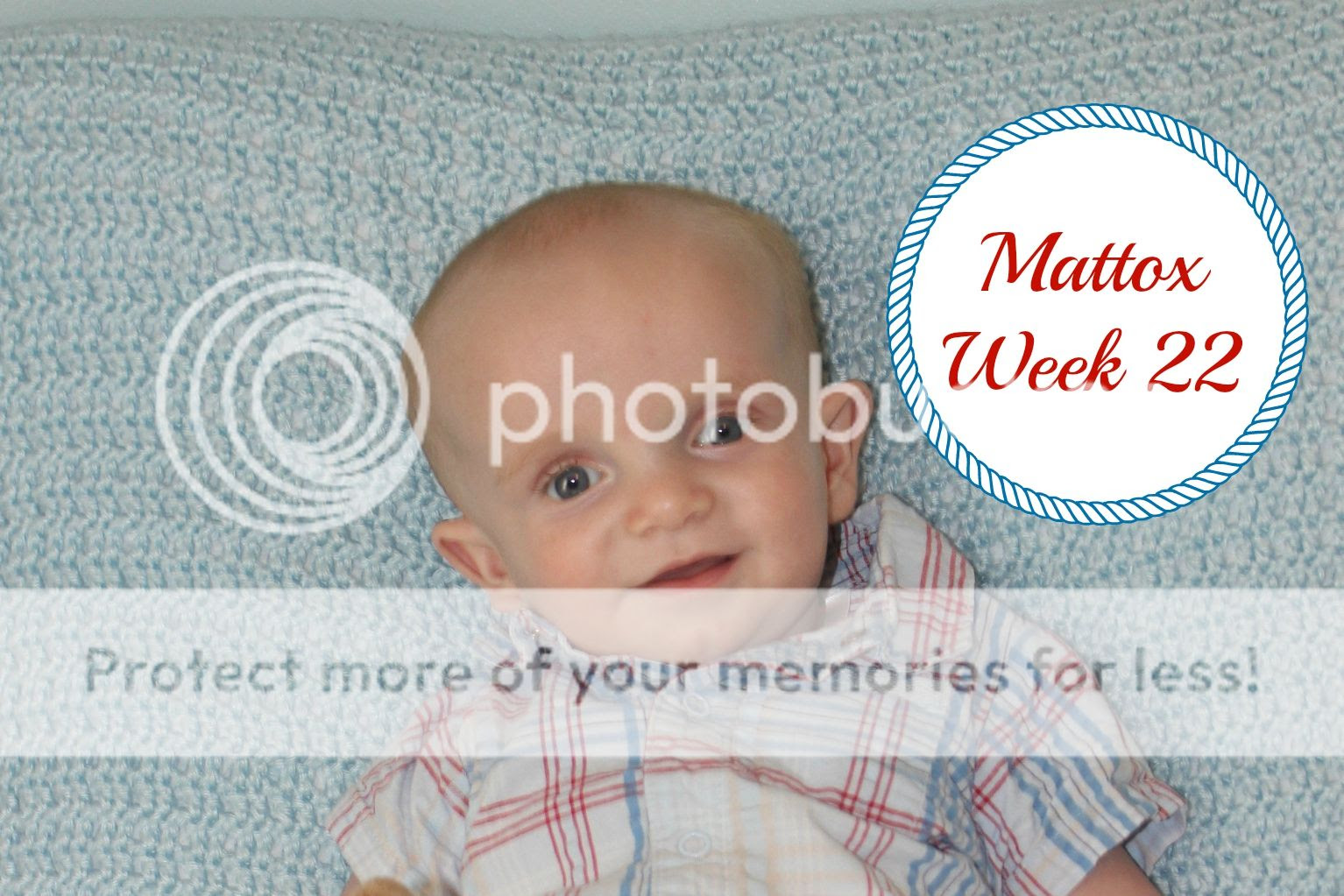 photo Week22_zpshkrkcweu.jpg