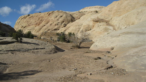 03.26.10 Farnsworth Canyon