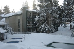 pet friendly vacation rental in mammoth, california