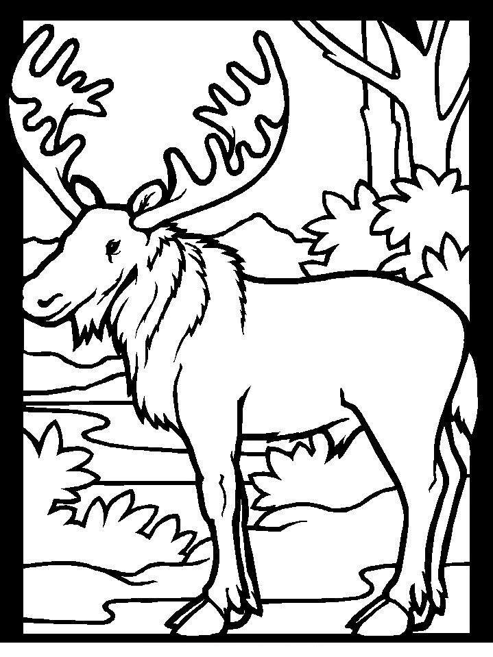 10 Unique Wood Animal Coloring Pages to Print for Creative Coloring Adventures