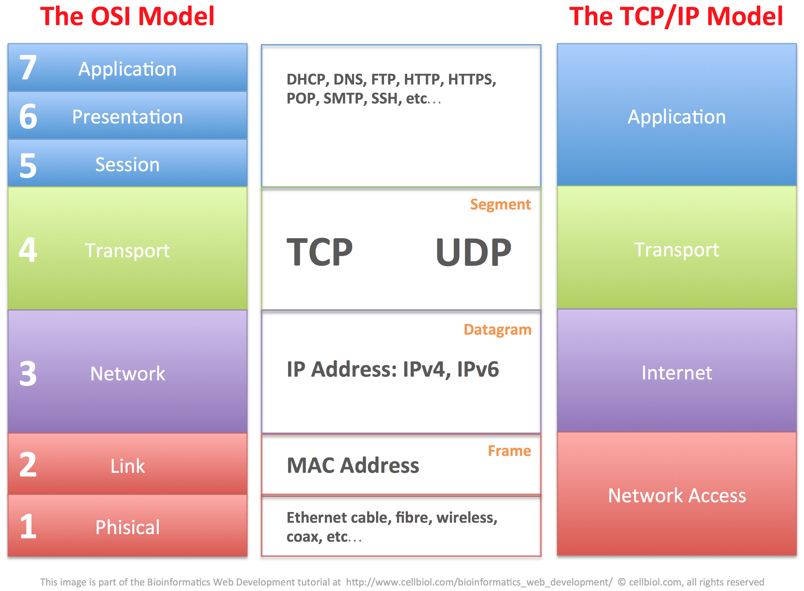 Http applications ru. Osi TCP/IP протоколы. Модель osi и протокол TCP/IP. Модель osi и стек TCP/IP. IP протокол в модели osi.