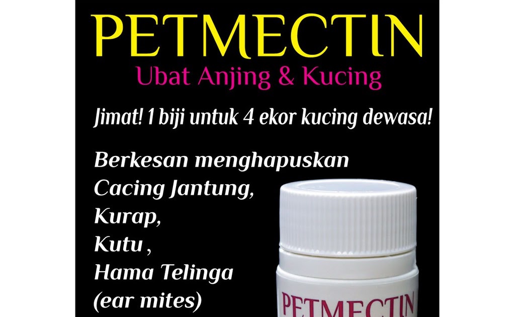 Ubat Kurap Anjing - Neueste a