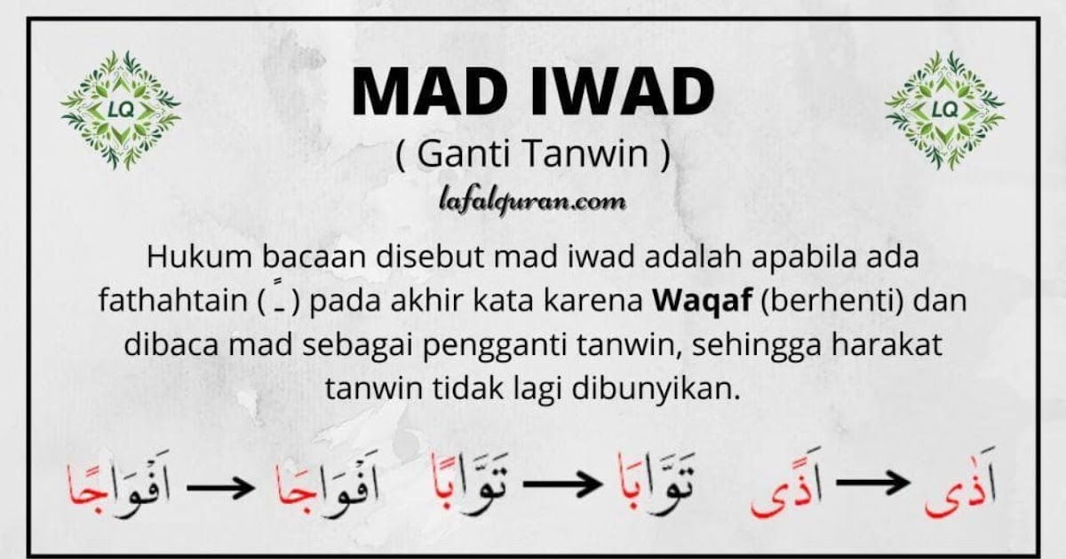 Kumpulan Contoh Paling Lengkap Yuk Simak Contoh Mad Lin Terbaik