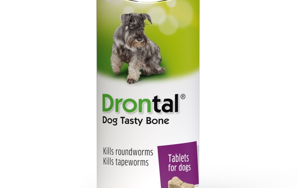 Drontal Worming Overdose Drontal Allwormer For Dogs