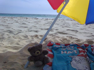 Beach Bum Bear