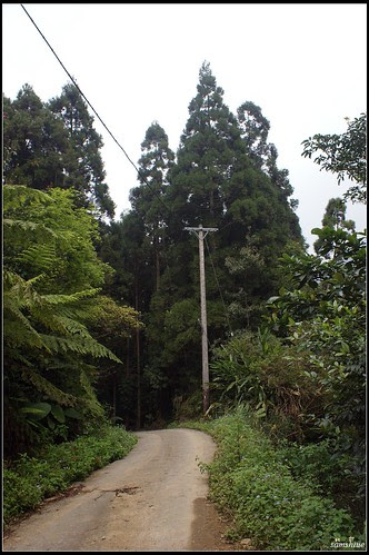 DSC04198