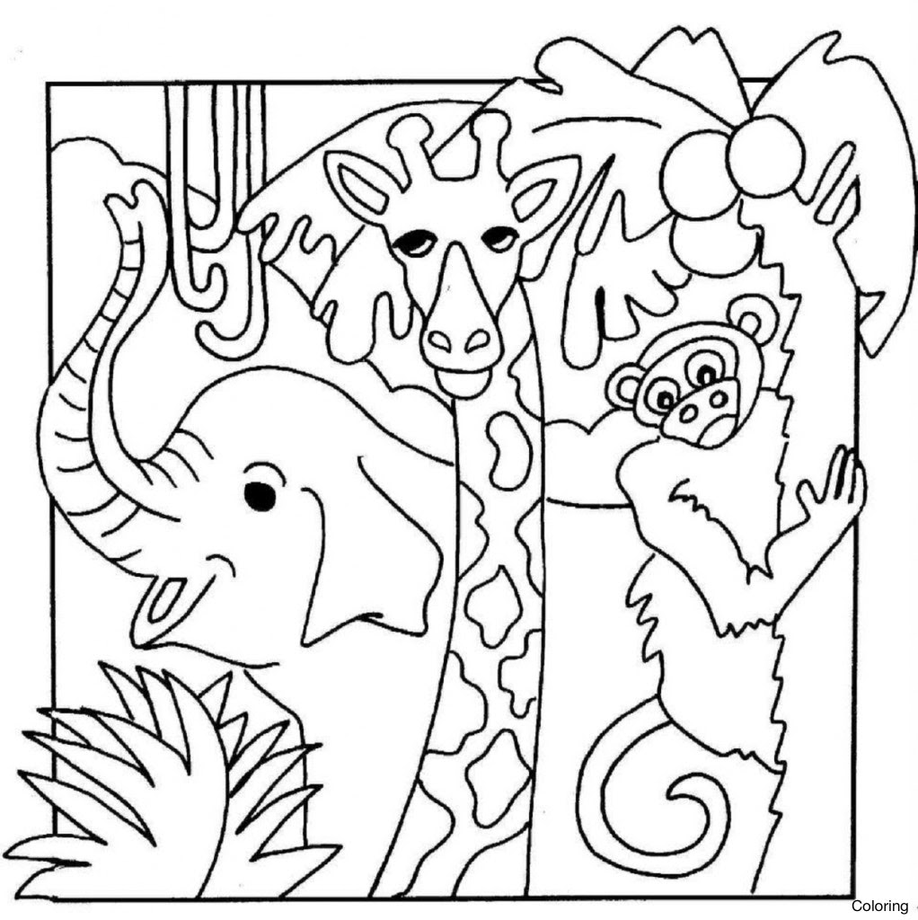 Featured image of post Easy Jungle Pictures To Draw : However if you want to be more specific, you can draw rounded ears for an african elephant and more triangle like ears for the asian elephant.