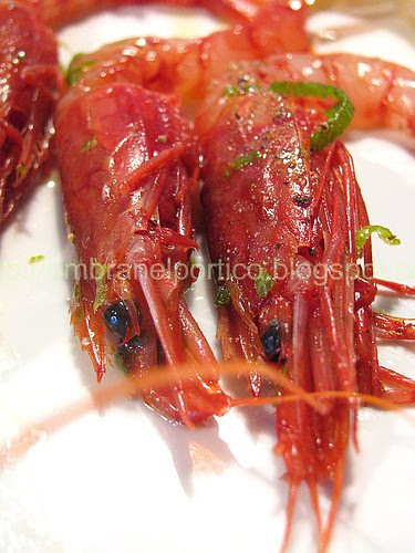 Crudo di gamberi rossi