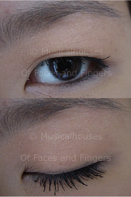 rimmel lash accelerator 2 coats