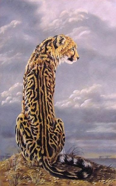 Cheetah king