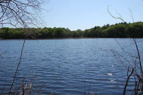 DelCarte: Pond 4