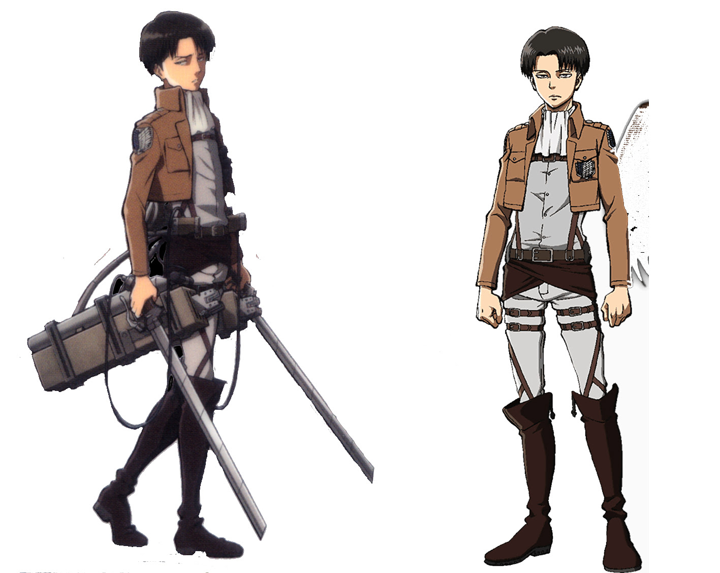levi ackerman model