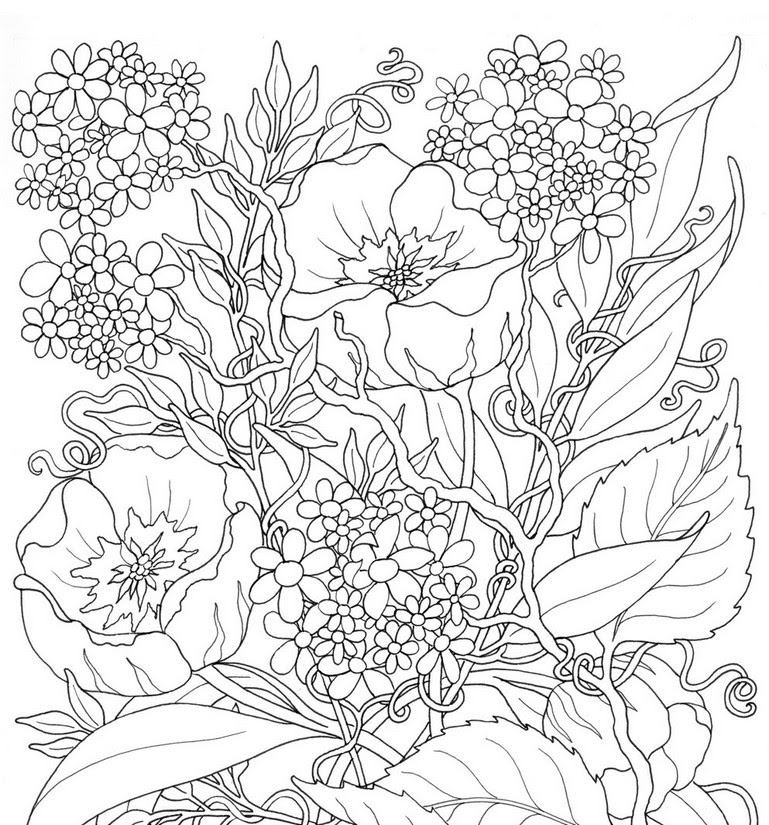 Dibujos Para Colorear Adultos Flores - páginas para colorear