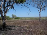 Free Image Hosting at www.ImageShack.us
