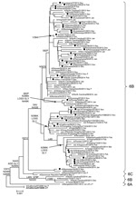 Thumbnail of Evolutionary relationships among influenza A (H1N1)pdm09 virus neuraminidase genes, United States, 2013–14. Phylogenetic tree was generated by using the MEGA software package v5.2 (http://www.megasoftware.net/) and the neighbor-joining method. Evolutionary distances were computed by using the maximum composite likelihood model. Analysis included 100 representative A(H1N1)pdm09 neuraminidase gene sequences. Scale bar indicates nucleotide substitutions per site. Solid circles indicate