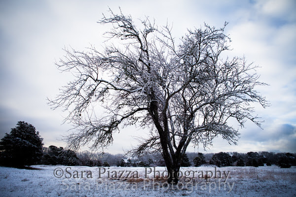 Sweetened Water, Edgartown News, snow