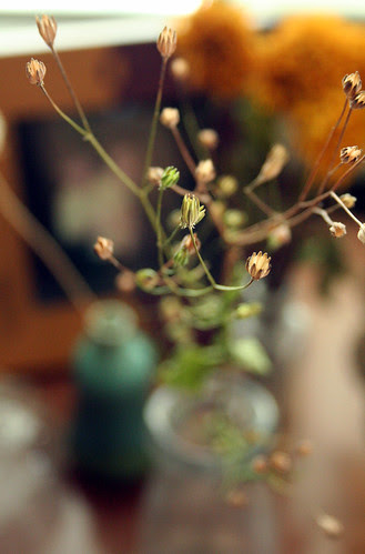 delicate find, root and all
