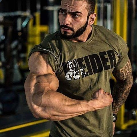 Are you a Muscle Lover?: Roberto Alexandru
