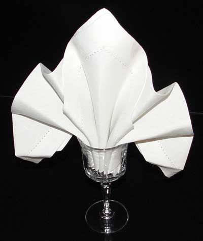 Image result for napkin in a glass