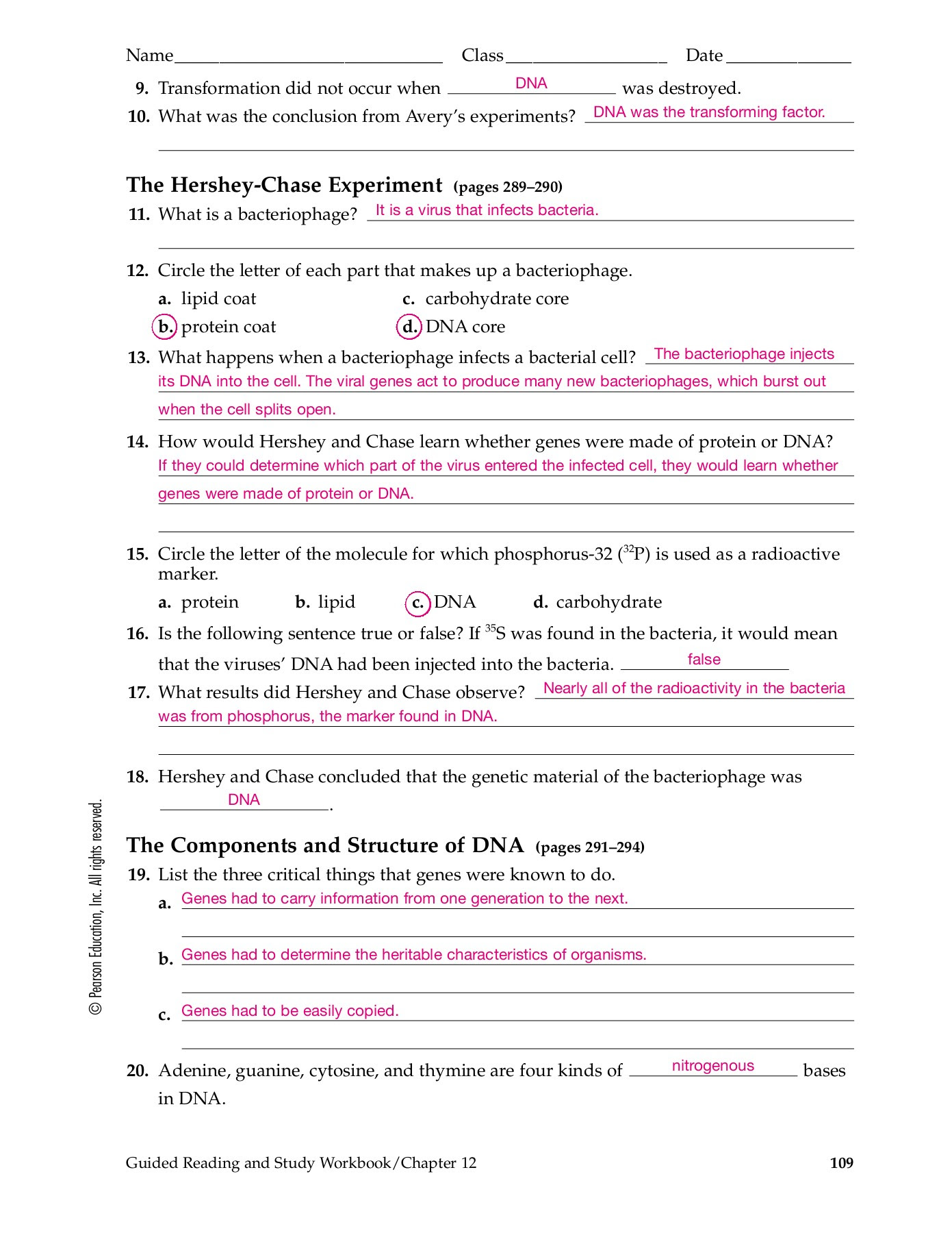 Dna Reading Worksheet - A Worksheet Blog