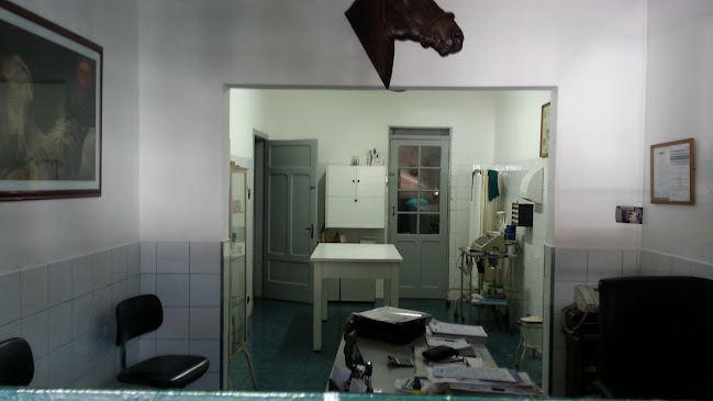 Veterinária Ipiranga