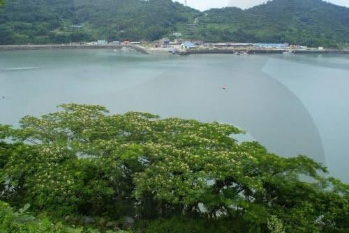 Anmado Island (안마도)