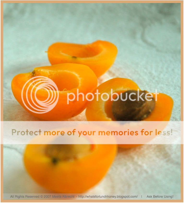 Apricots (02)