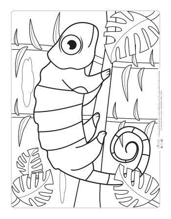 10 Weird Animal Coloring Pages for Unusual Fun