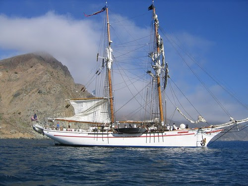 exy johnson cat island