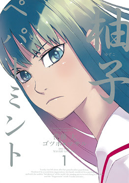 http://www.square-enix.com/jp/magazine/top/img/shoei/9784757524095.jpg