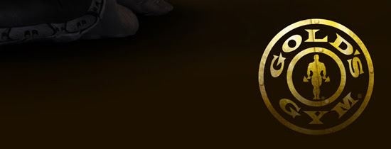 Gold Gym Logo Hd Blog Eryna
