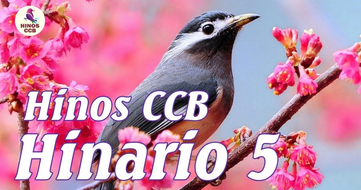 Hinos Ccb Cantados Hinário 5 Completo - 2ltqsch5bxacbm