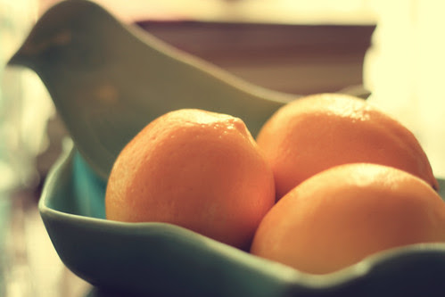 meyers lemons and bird