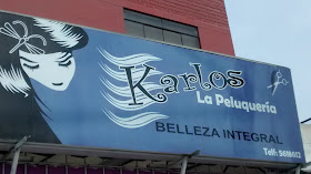 Karlos Salón