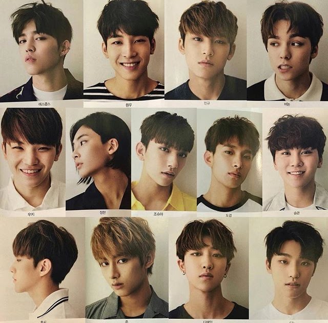 Profil Member Seventeen 2018
