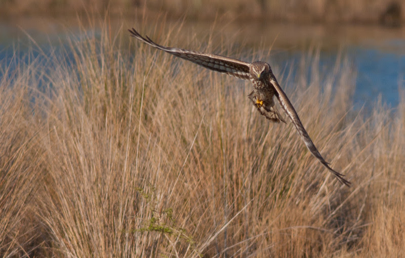 Photo & Video Sharing by SmugMug Photo & Video Sharing by SmugMug