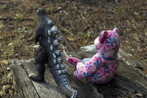 surfing the web.jpg