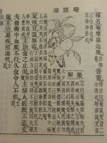 庵羅果(文)