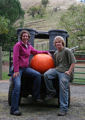 The Pumpkin