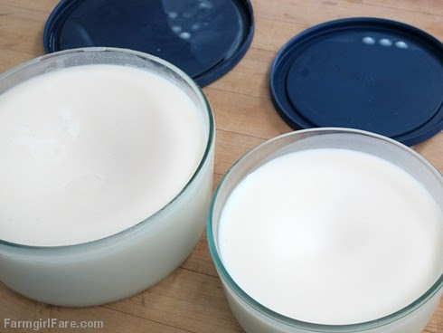 (30-13) Once chilled, the homemade lard becomes solid and white and will keep in the fridge for months - FarmgirlFare.com