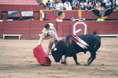Sin t+¡tulo-29